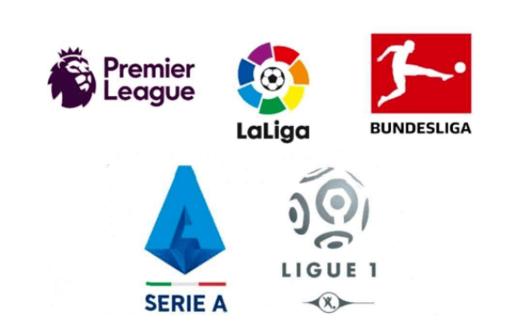 在沙土这种 在沙土这种